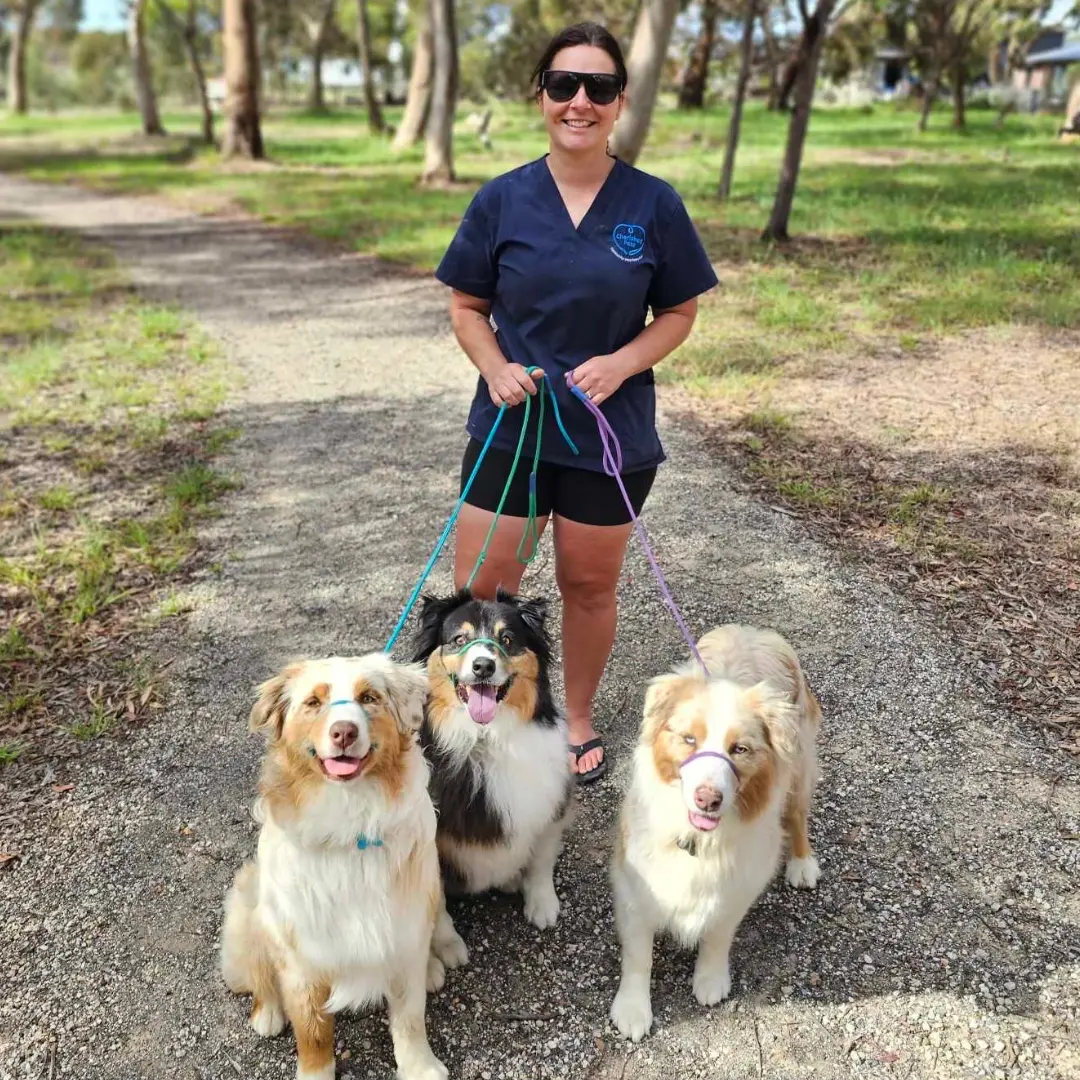 Megan walking Percy & friends