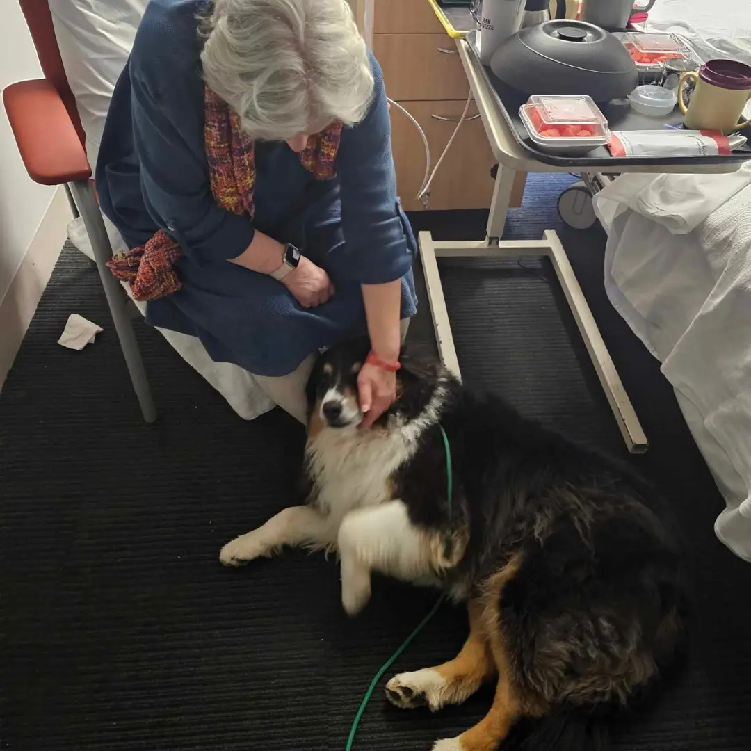 A visit to the hospital