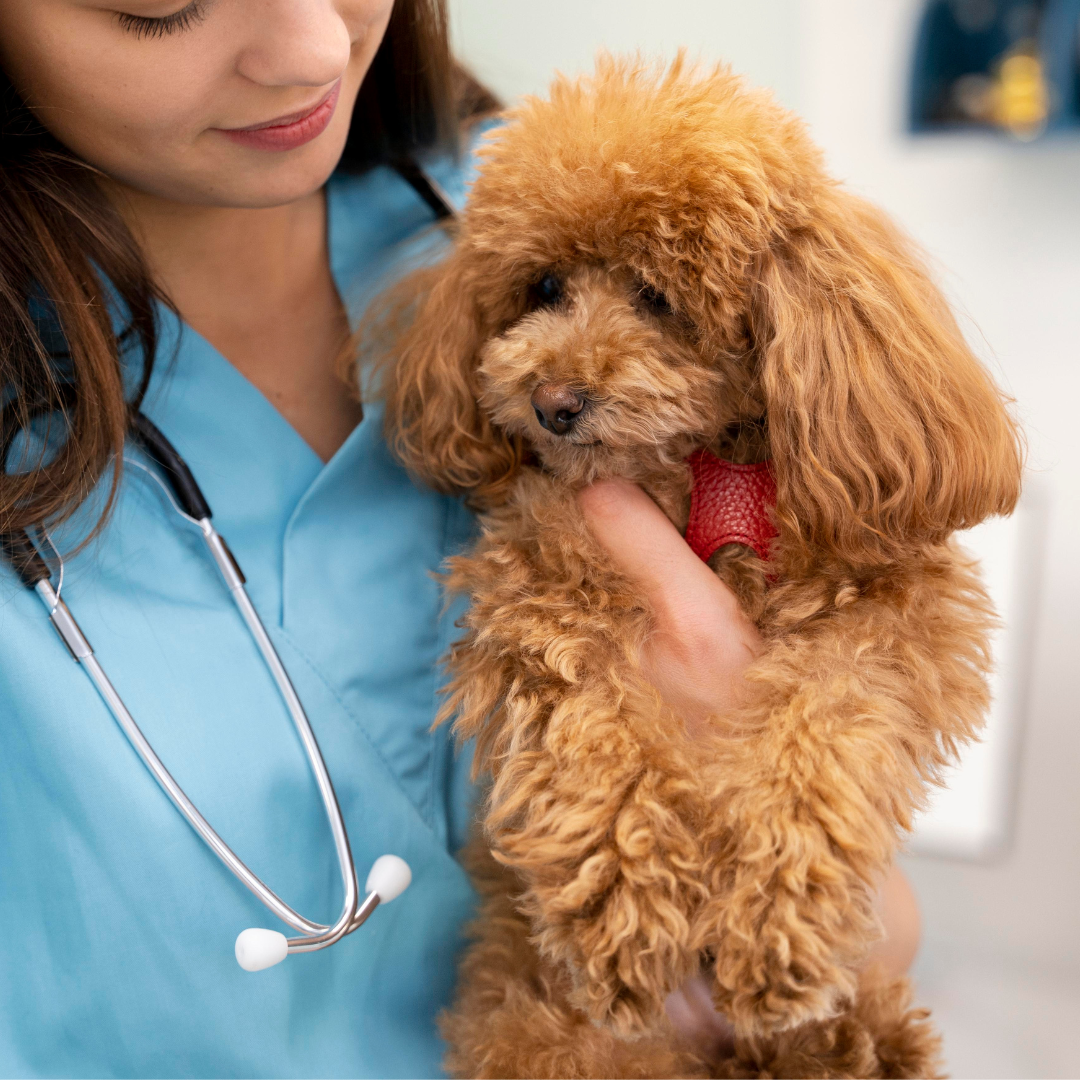 Major Impact Investors