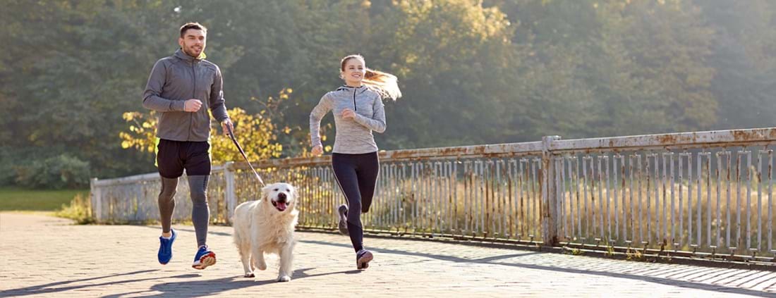 GP Veterinary Service