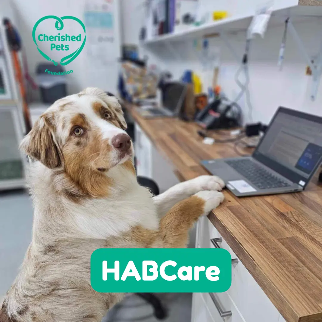 HABCare - Human-Animal Bond Care Team Cherished Pets Foundation