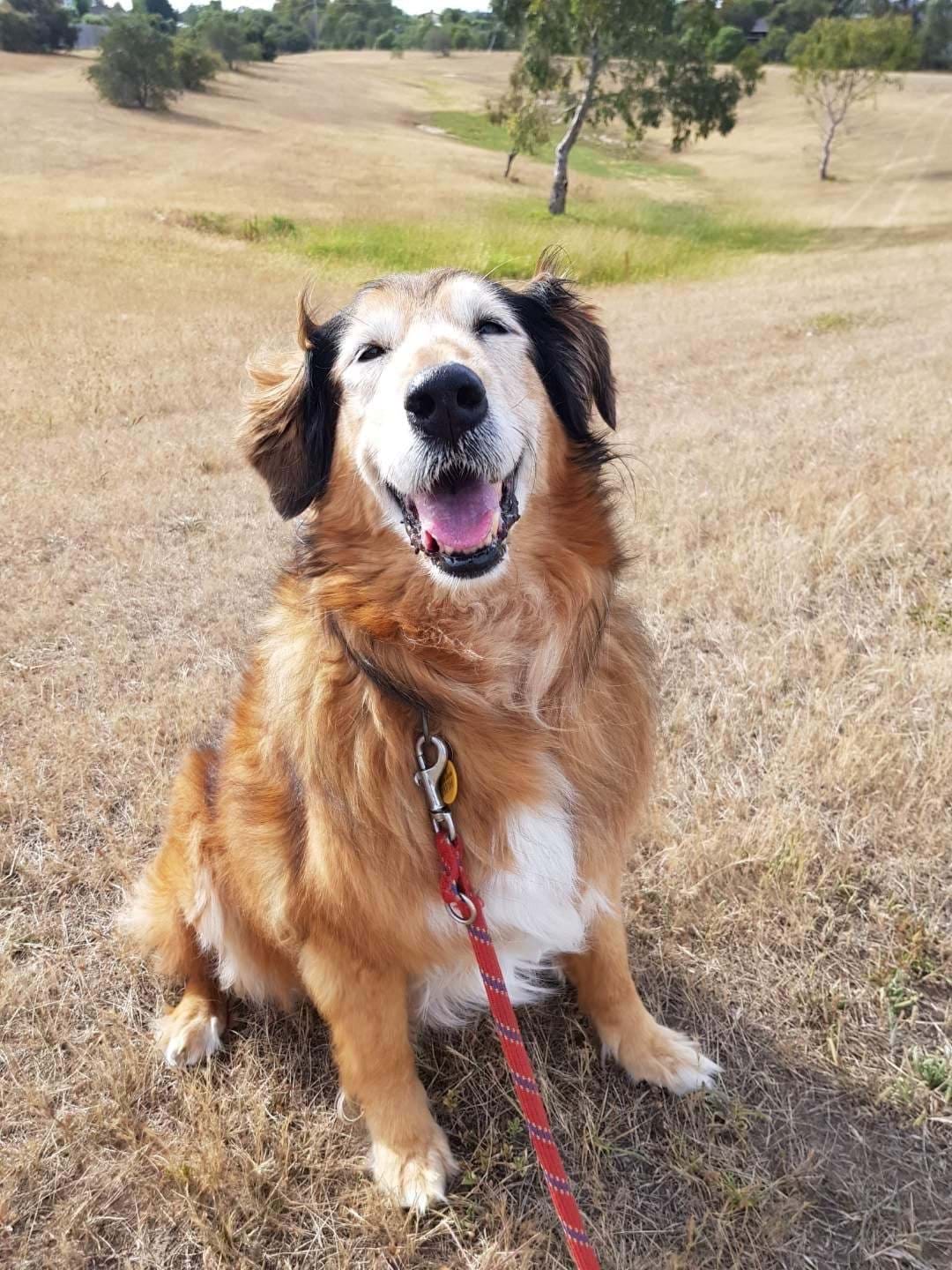 A Special Tribute to Shakti